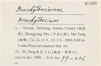 登錄號:B00011050藏品圖，第2張