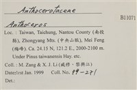 登錄號:B00011071藏品圖，第2張