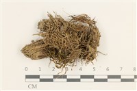 登錄號:B00011073藏品圖，第1張