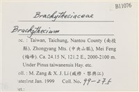 登錄號:B00011076藏品圖，第2張