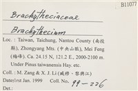 登錄號:B00011077藏品圖，第2張