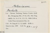 登錄號:B00011078藏品圖，第2張