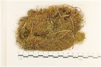 登錄號:B00011078藏品圖，第1張