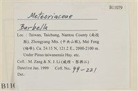 登錄號:B00011079藏品圖，第2張