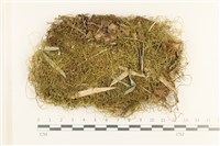 登錄號:B00011079藏品圖，第1張