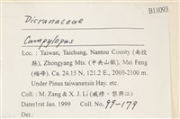 登錄號:B00011093藏品圖，第2張