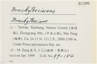 登錄號:B00011099藏品圖，第2張