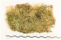 登錄號:B00011099藏品圖，第1張