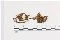 登錄號:B00011327藏品圖，第1張