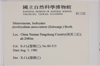 登錄號:B00011328藏品圖，第2張