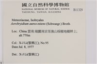 登錄號:B00011329藏品圖，第2張