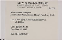 毛扭蘚藏品圖，第2張