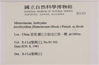 毛扭蘚藏品圖，第2張