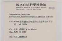 毛扭蘚藏品圖，第2張