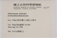 毛扭蘚藏品圖，第2張