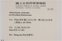 毛扭蘚藏品圖，第2張