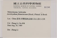 毛扭蘚藏品圖，第2張