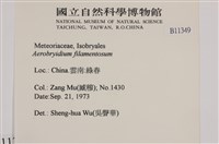 毛扭蘚藏品圖，第2張