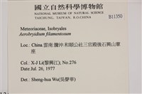 毛扭蘚藏品圖，第2張