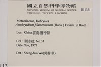 毛扭蘚藏品圖，第2張