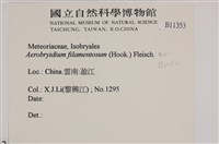 毛扭蘚藏品圖，第2張