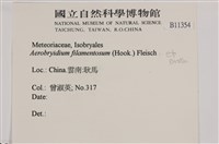 毛扭蘚藏品圖，第2張