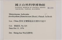 毛扭蘚藏品圖，第2張