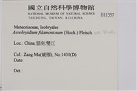 毛扭蘚藏品圖，第2張