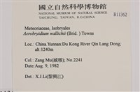 登錄號:B00011362藏品圖，第2張