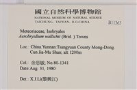 登錄號:B00011363藏品圖，第2張