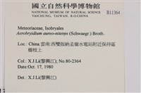 登錄號:B00011364藏品圖，第2張