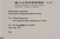 大灰氣蘚藏品圖，第2張