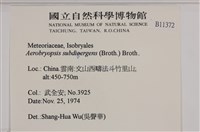 大灰氣蘚藏品圖，第2張