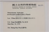 登錄號:B00011373藏品圖，第2張