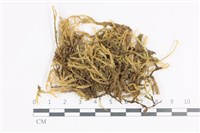 登錄號:B00011374藏品圖，第1張