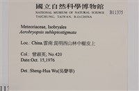 登錄號:B00011375藏品圖，第2張