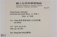 登錄號:B00011377藏品圖，第2張