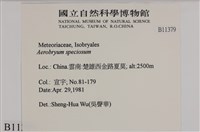 登錄號:B00011379藏品圖，第2張