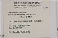 登錄號:B00011381藏品圖，第2張