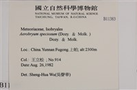 登錄號:B00011383藏品圖，第2張