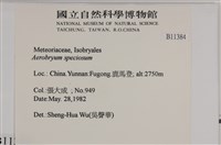 登錄號:B00011384藏品圖，第2張