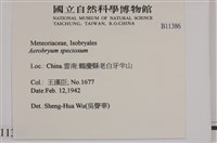 登錄號:B00011386藏品圖，第2張