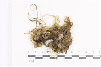 登錄號:B00011390藏品圖，第1張