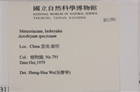 登錄號:B00011391藏品圖，第2張