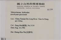 登錄號:B00011394藏品圖，第2張