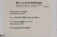 登錄號:B00011395藏品圖，第2張