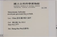 登錄號:B00011398藏品圖，第2張