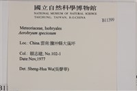 登錄號:B00011399藏品圖，第2張