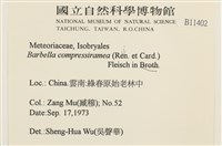 登錄號:B00011402藏品圖，第2張