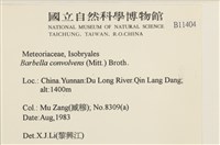 登錄號:B00011404藏品圖，第2張